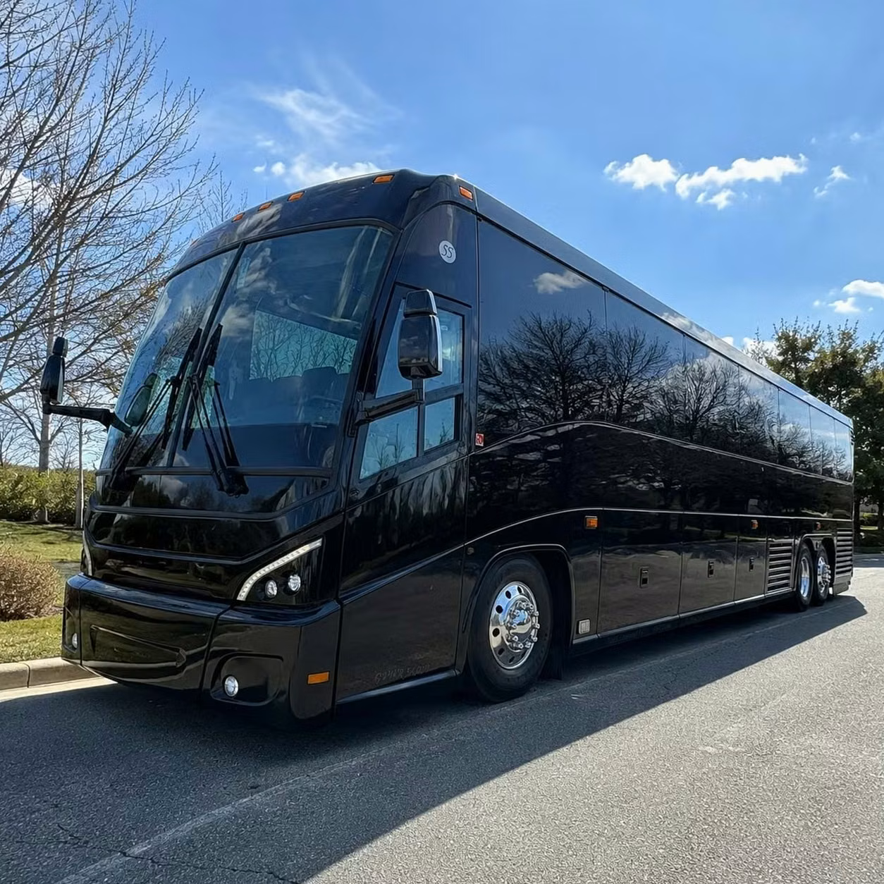 pooler day trips from pooler to congaree national park